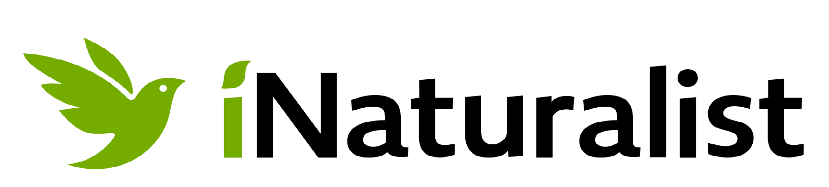 iNaturalist logo